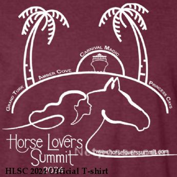 HLSC 2024 Official T-shirt